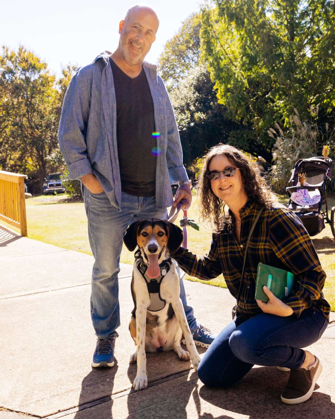 An adorable dog at a outdoor arts festival on a sunny day. 