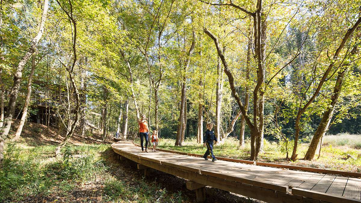 an image of people walking on a boardwark surrounded by trees