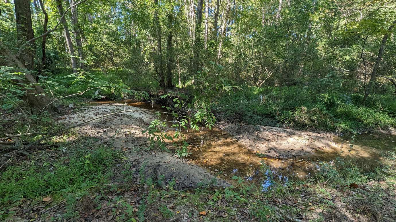 an image of an outdoor wooded area