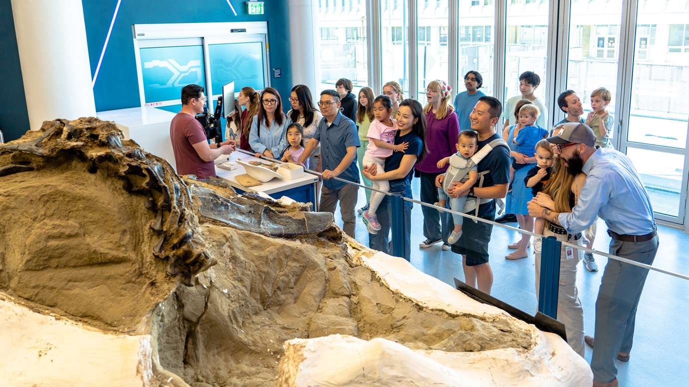 People in museum looking at dinosaur bones while a person is presenting