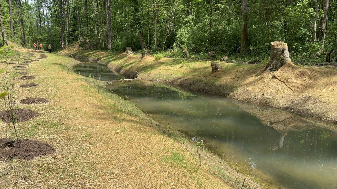 Millbrook Stream Repair