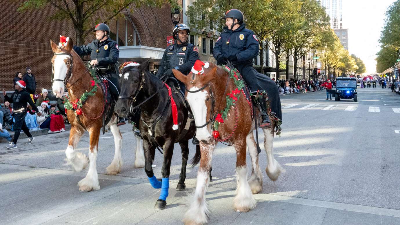 Three RPD officers of the mounted unit ride on their horses during the parade. Horses have poinsettia decor around their necks.