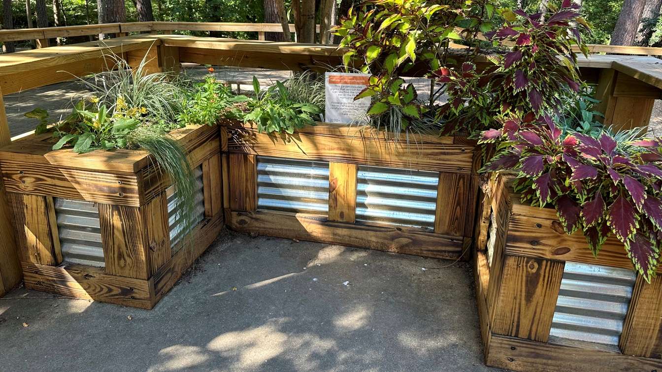 a sensory smell and touch garden 