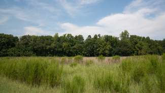 Open Field at Horseshoe Farm Park