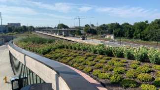 The roof at Raleigh Union Station with green plants and soil that clean and absorb rain