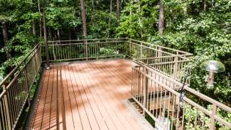 View of the birds nest at the Crowder Woodland Center