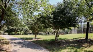 Part of the Greenway trail running through Baileywick Park. 