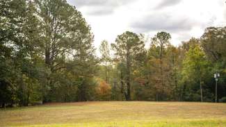 A big open field at Brentwood Park 