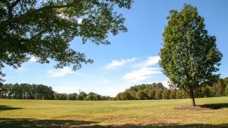 Open field with grass and trees at Spring Forest Road Park 