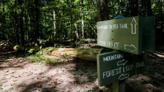 Two of the many scenic trails 