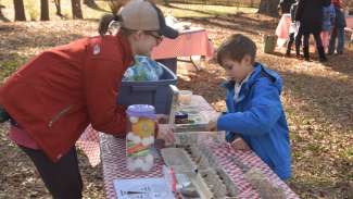 A little boy taking part in a soil demonstration at an event