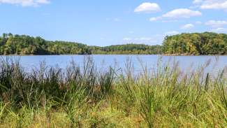 Falls Lake from Forest Ridge Park