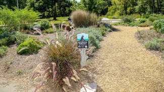 Entrance to the wildlife garden which is designed for pollinators and wildlife food source and habitat.