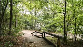 Part of the scenic, paved trails around the lake 