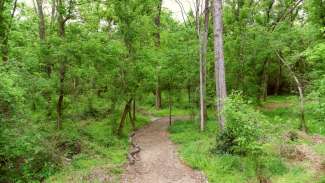 Trails at Walnut Creek Wetland Center