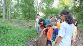 A group of school-aged kids participating in a nature program 