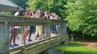 Group of program participants on porch bird watching with binoculars