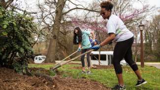 Volunteers shoveling pine straw