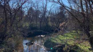 Walnut Creek in Raleigh