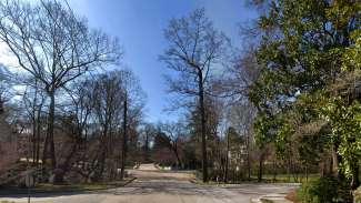 Oxford road looking toward Kenmore Drive shows large poplar tree at intersection 