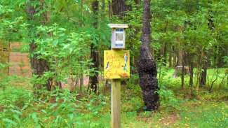 A sign that says "Welcome to the Bird Garden" in woods surrounded by green leaves