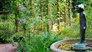 Green garden with little statue in fountain