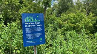 A blue sign explaining why we're growing a meadow with green trees and plants behind the sign