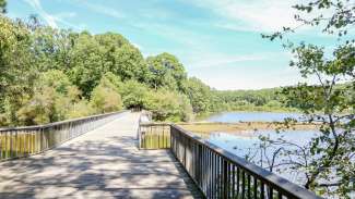 Wooden boardwalk pedestrian bridge over Shelley lake with water on right side with trees around