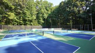 Pickleball court