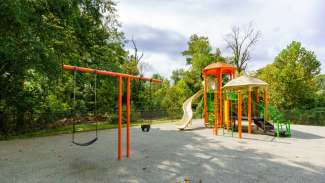 Swings and playground equipment with trees in background