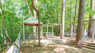 Picnic tables on large deck surrounded by trees