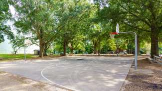 Basketball court with trees in background