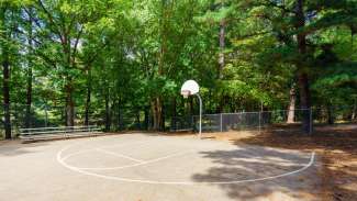 Basketball court with trees in background