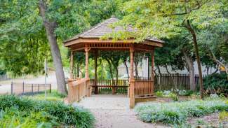 Gazebo surrounded by trees