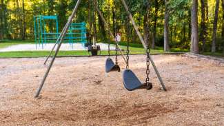 Swings and climbing structure with trees in background