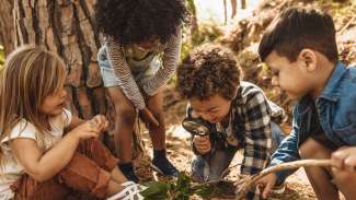 4 kids for searching for bugs in the woods