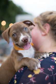 Girl holding puppy dog on shoulder