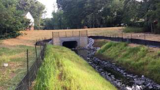 a streambank at Knights Way