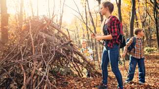 Children building a fort in the forest with sticks