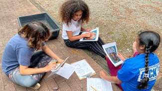 youth studying rocks