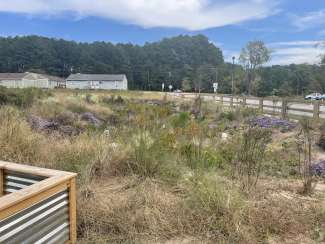 Walnut Creek Subsurface Gravel Wetland