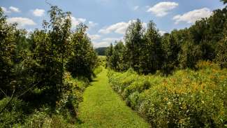 Hiking trail at Annie Louise Wilkerson, MD Nature Preserve