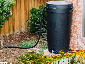 Rain Barrel