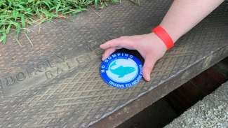 Storm Drain Marking