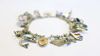 an image of a charm bracelet 